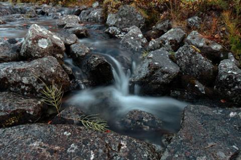 Ngắm sắc vàng thu trên dãy núi Hibiny