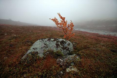 Ngắm sắc vàng thu trên dãy núi Hibiny