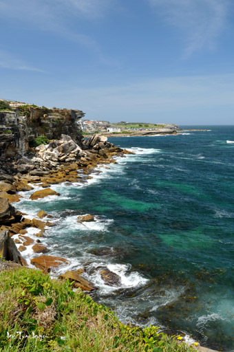 Những bờ biển đẹp, trong xanh, hiền hòa và thơ mộng chạy dài quanh Sydney luôn là điểm đến cho du khách khắp mọi nơi trên thế giới.