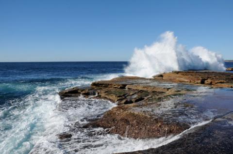 Biển cũng thật ồn ào,dữ dội cuộn sóng dâng trào(Clovelly beach).