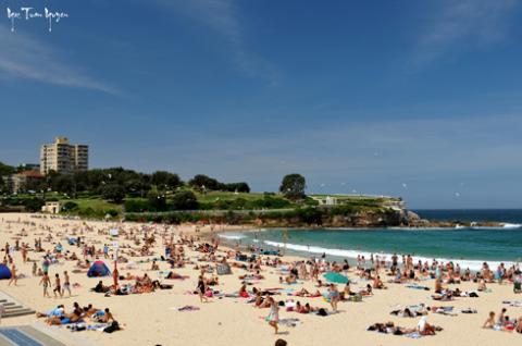 Dưới cái nắng hè gay gắt thì bãi biển luôn là sự lựa chọn hàng đầu của bạn(Coogee beach).