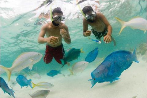 Aruba - điểm du lịch biển tuyệt vời, Du lịch - Giải trí, Dia diem bien, du lich bien, bai bien, du lich, giai tri
