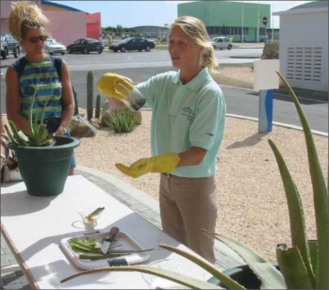 Aruba - điểm du lịch biển tuyệt vời, Du lịch - Giải trí, Dia diem bien, du lich bien, bai bien, du lich, giai tri