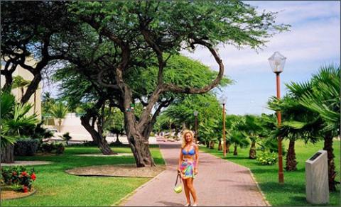 Aruba - điểm du lịch biển tuyệt vời, Du lịch - Giải trí, Dia diem bien, du lich bien, bai bien, du lich, giai tri