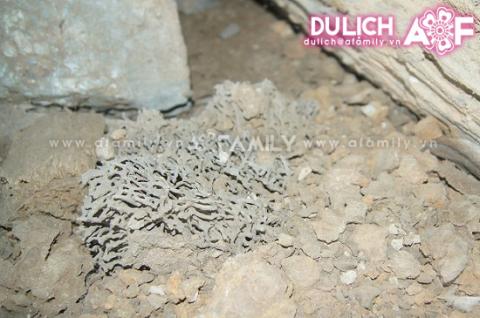 Rùng mình khám phá hang quan tài ở Quan Hóa - 15