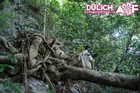 Rùng mình khám phá hang quan tài ở Quan Hóa - 4