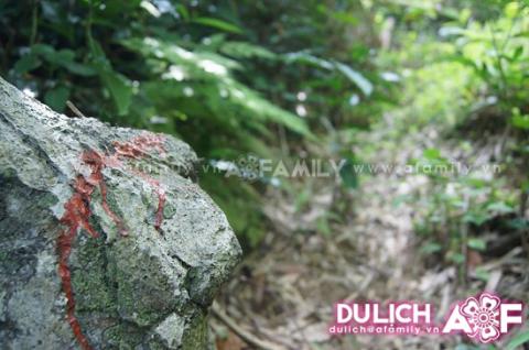 Rùng mình khám phá hang quan tài ở Quan Hóa - 5