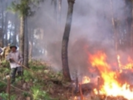 Hiện trường vụ cháy rừng