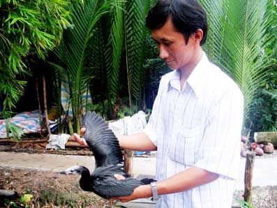 Tham quan vườn cò Mong Thọ - Kiên Giang shopping entertainments