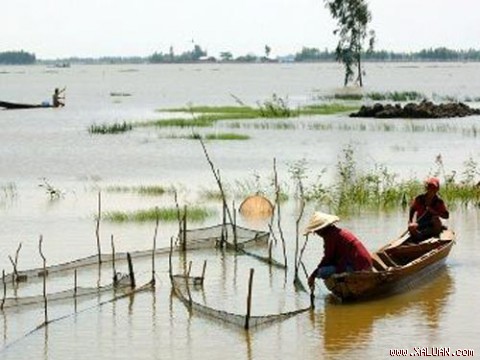 Mẹ tôi đã vĩnh viễn nằm lại đâu đó giữa đồng nước mênh mông...