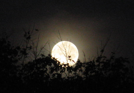 Mặt trăng sẽ tới điểm xa trái đất nhất trên quỹ đạo của nó vào tối 11/10. Ảnh: zimbio.com.