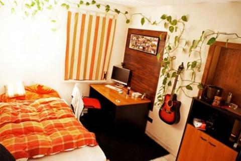 Nhà hút mắt với cây cảnh độc đáo, Nhà đẹp, khong gian dep, tu van noi that, nha dep, cay xanh trong nha, cay canh, lo hoa nguoc, hoa dung, hoa dai