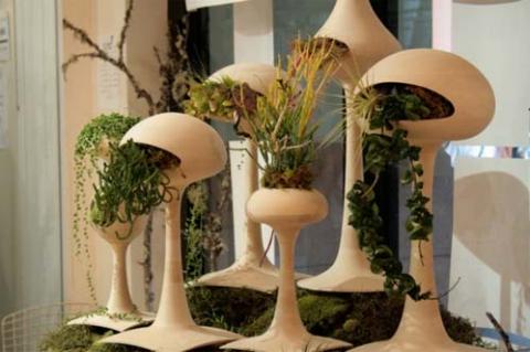 Nhà hút mắt với cây cảnh độc đáo, Nhà đẹp, khong gian dep, tu van noi that, nha dep, cay xanh trong nha, cay canh, lo hoa nguoc, hoa dung, hoa dai