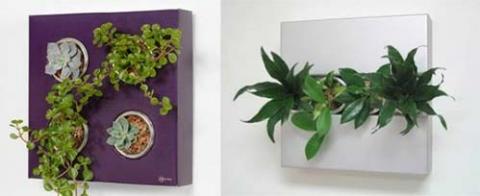Nhà hút mắt với cây cảnh độc đáo, Nhà đẹp, khong gian dep, tu van noi that, nha dep, cay xanh trong nha, cay canh, lo hoa nguoc, hoa dung, hoa dai