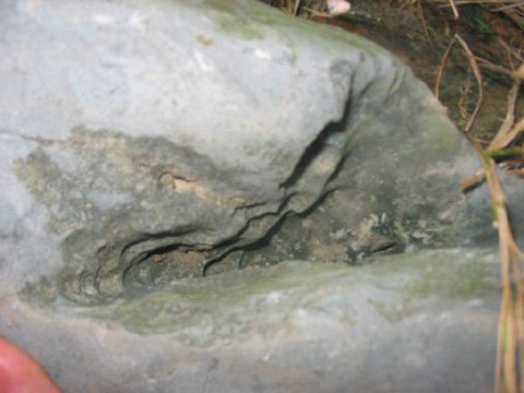 Ly kỳ 'kho vàng' giấu trong phiến đá cổ ở Thái Bình