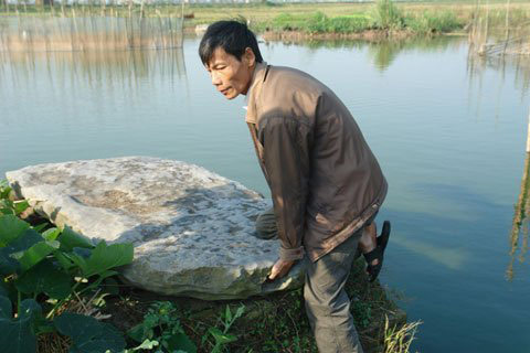 Ly kỳ 'kho vàng' giấu trong phiến đá cổ ở Thái Bình
