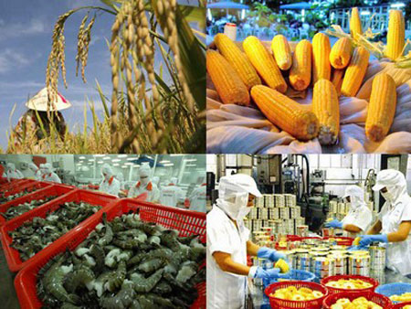 Nông sản Việt Nam liên tiếp gặp khó tại các thị trường nhập khẩu. Ảnh minh họa.