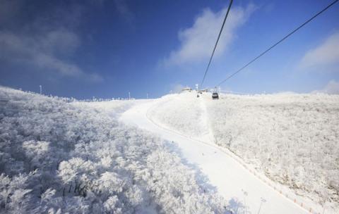 High1 Resort cách thủ đô Seoul 4 giờ đi xe.