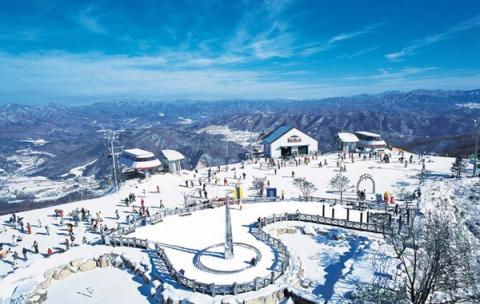 Phoenix là điểm đến yêu thích của các học sinh, sinh viên. Ở đây có nhiều dịch vụ tiện ích cho khách.