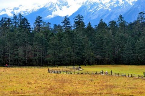 Bitahai - Miền cổ tích trên núi cao, Du lịch, Du lich, du lich Trung Quoc, du lich the gioi, du lich 2012, kham pha, du lich Viet Nam