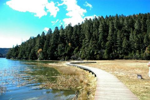 Bitahai - Miền cổ tích trên núi cao, Du lịch, Du lich, du lich Trung Quoc, du lich the gioi, du lich 2012, kham pha, du lich Viet Nam