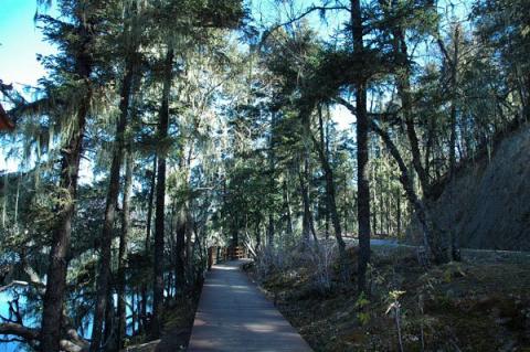 Bitahai - Miền cổ tích trên núi cao, Du lịch, Du lich, du lich Trung Quoc, du lich the gioi, du lich 2012, kham pha, du lich Viet Nam