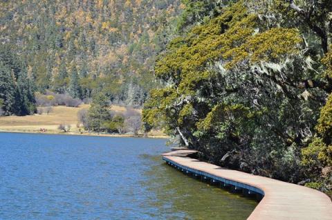 Bitahai - Miền cổ tích trên núi cao, Du lịch, Du lich, du lich Trung Quoc, du lich the gioi, du lich 2012, kham pha, du lich Viet Nam