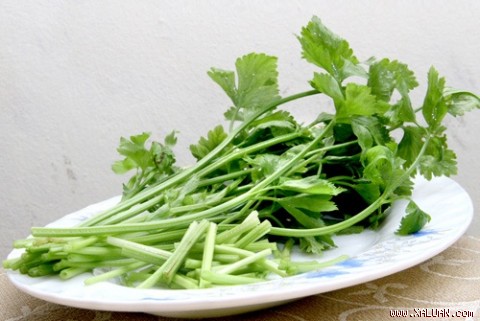 Cần tây có công dụng dưỡng huyết mạnh, lợi tỳ, ích khí, thanh nhiệt hạ hỏa, lợi đại tiểu tiện, tiểu đường, giảm ho...
