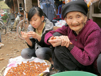 Khi gặp hình ảnh bà cụ bán cau khô ở chợ Giá (Hoài Đức, Hà Nội) tôi chợt nhớ tới mấy câu thơ của thi sĩ xứ Đoài Nguyễn Đại Hà: “Về ngang qua chợ xế trưa/ Mà cay con mắt ai mua cau trầu/ Nay