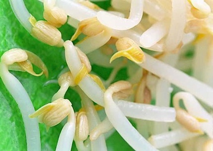 8 thực phẩm thường ngày có thể ... hại người