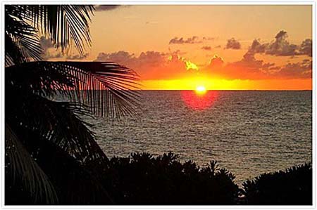 Kỳ thú ngôi nhà 