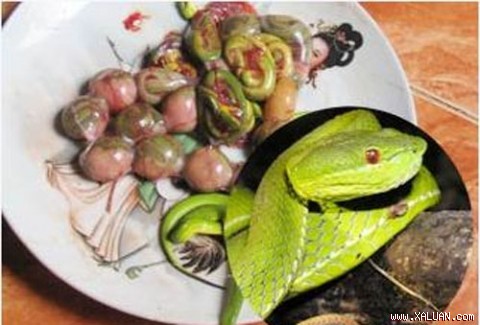 Óc khỉ, bào thai rắn được coi là có thể tăng cường khả năng đàn ông (Ảnh: nguồn internet).