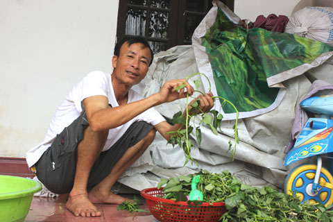 Theo ông Nguyễn Trọng Luận: