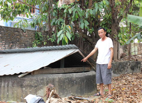 “Rau muống dải phải nấu với nước giếng làng mới ngon”.