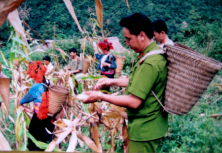 Hóa trang kiểm lâm truy tìm hung thủ trong rừng thẳm