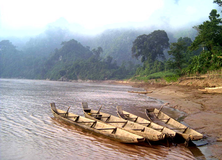 Cuộc luồn rừng săn lùng tướng cướp