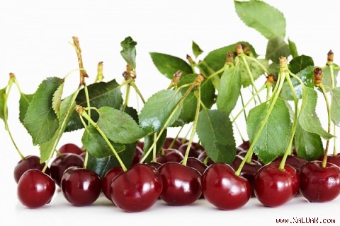 Làm cherry ăn dặm cực ngon cho bé