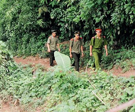 Những xác chết giữa rừng và nỗi lòng người điều tra