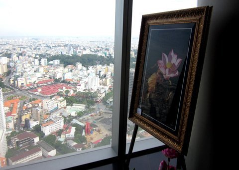 Triển lãm ảnh hoa sen ở tầng cao ấn tượng