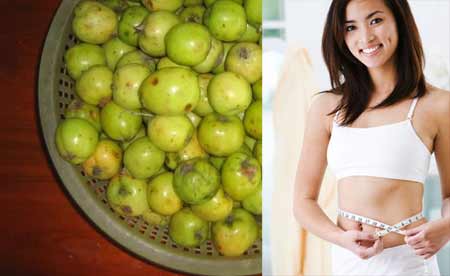 Táo mèo “ thần dược“ giảm cân của chị em. Ảnh minh họa