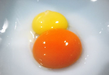 Lòng đỏ trứng có thể không liên quan đến bệnh tim mạch