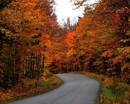 Công viên Algonquin, bang Ontario
