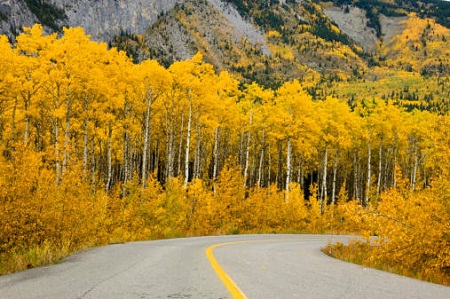 Dãy núi Rocky, tỉnh Alberta