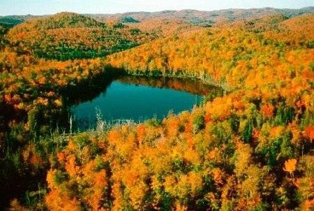 Đại lộ Niagara, Ontario