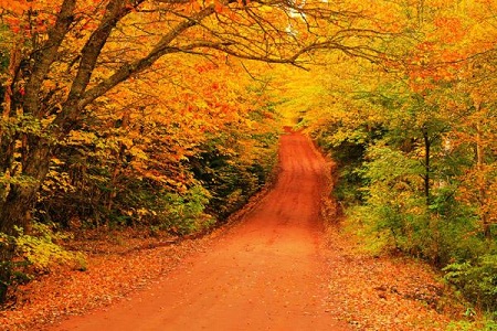 Đường tàu hỏa Cabot, Đảo Cape Breton, Nova Scotia