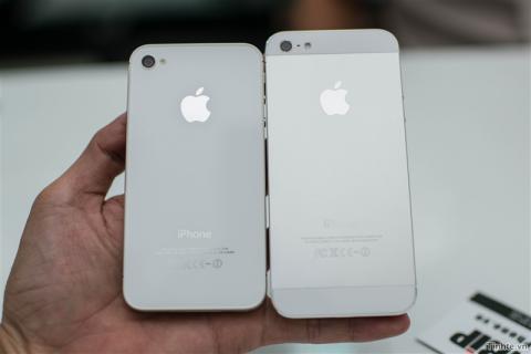 [Image: img_176289.jpg]