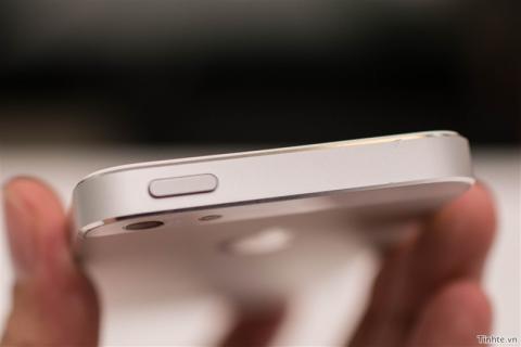 [Image: img_176295.jpg]