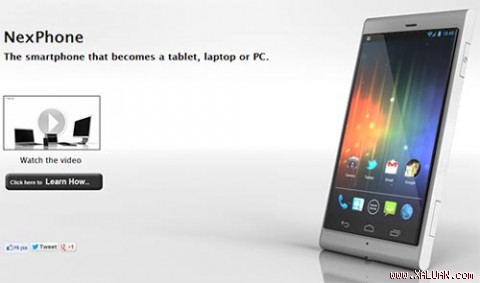 [Image: 5505fb8b90194d.img.jpg]