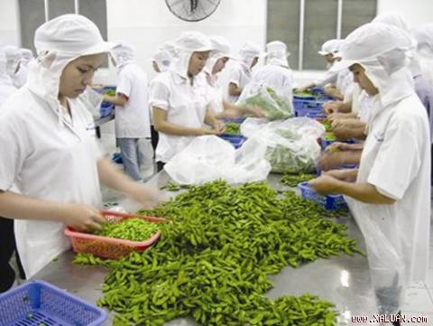 Kết quả hình ảnh cho chế biến thực phẩm