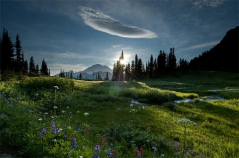 Tipsoo Meadow, hạt Pierce, Washington. Ảnh: Michael Bohlander